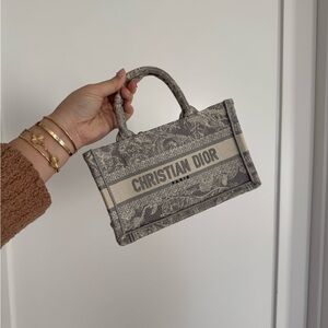 Dior Elegant Gray Mini Bag